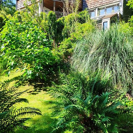 Maison Des Bois Bievres Eksteriør billede