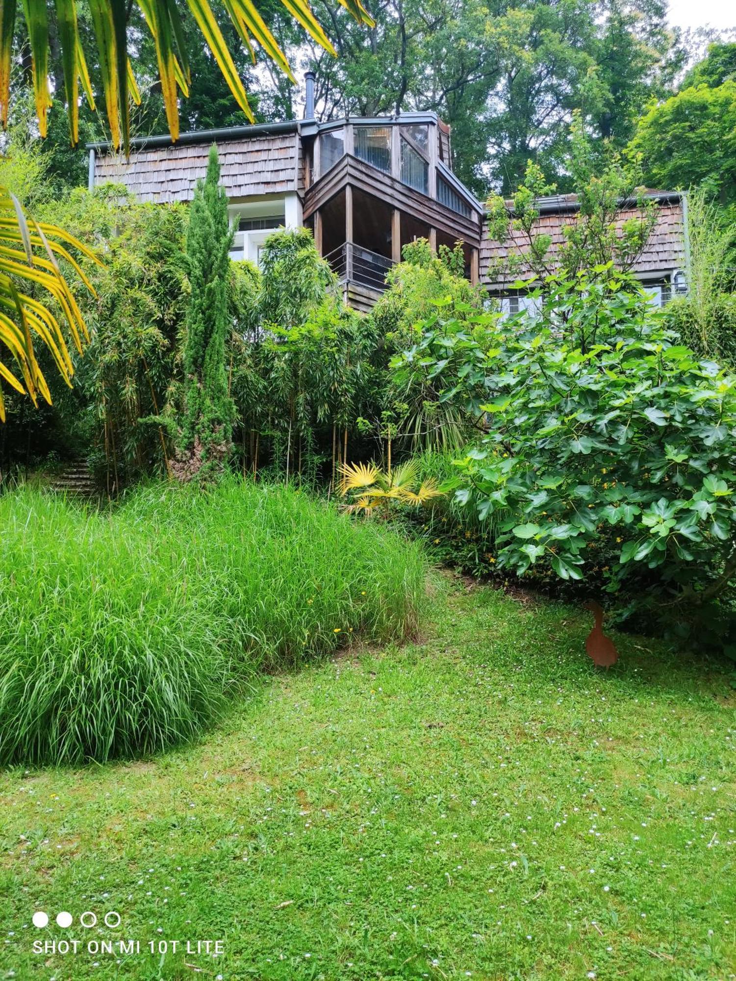Maison Des Bois Bievres Eksteriør billede